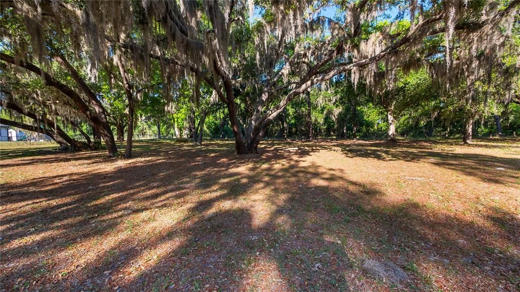 En Venta: $175,000 (0.88 acres)