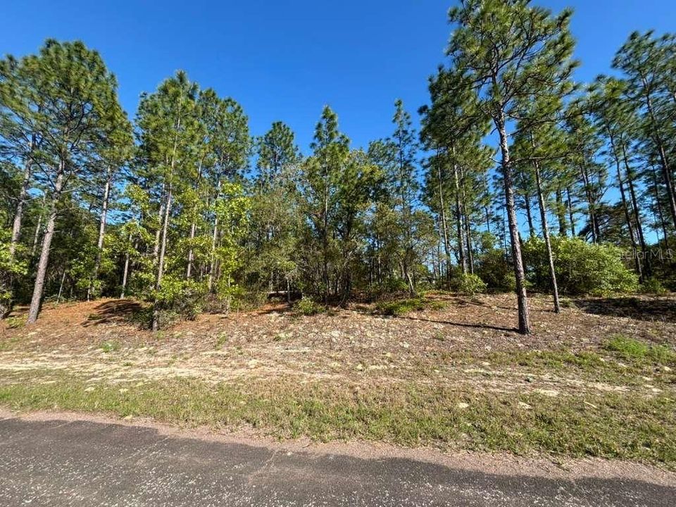 For Sale: $20,000 (0.23 acres)