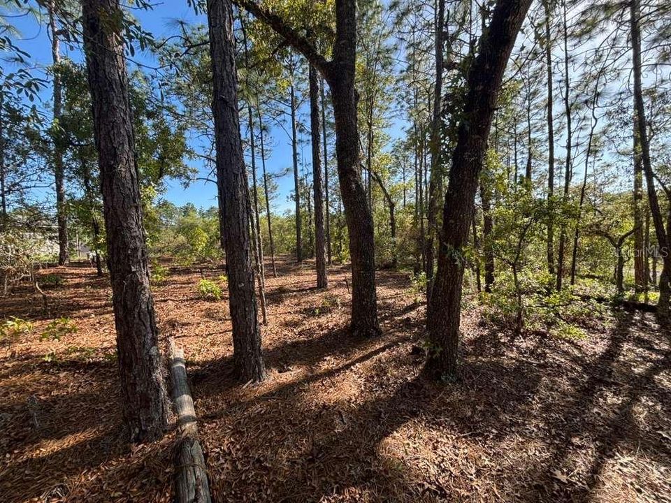 For Sale: $20,000 (0.23 acres)