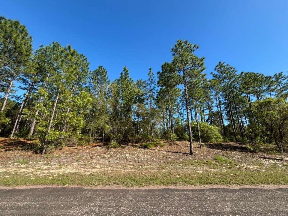 For Sale: $20,000 (0.23 acres)