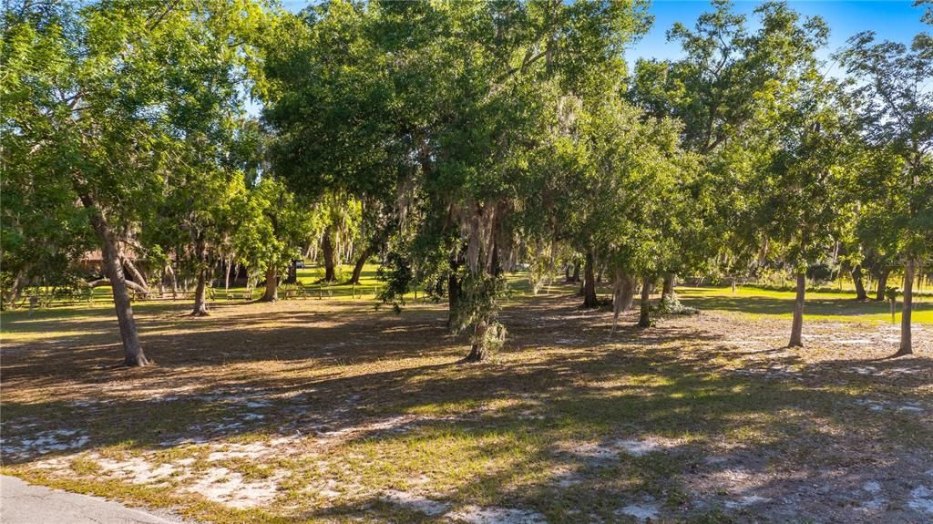 En Venta: $175,000 (1.04 acres)