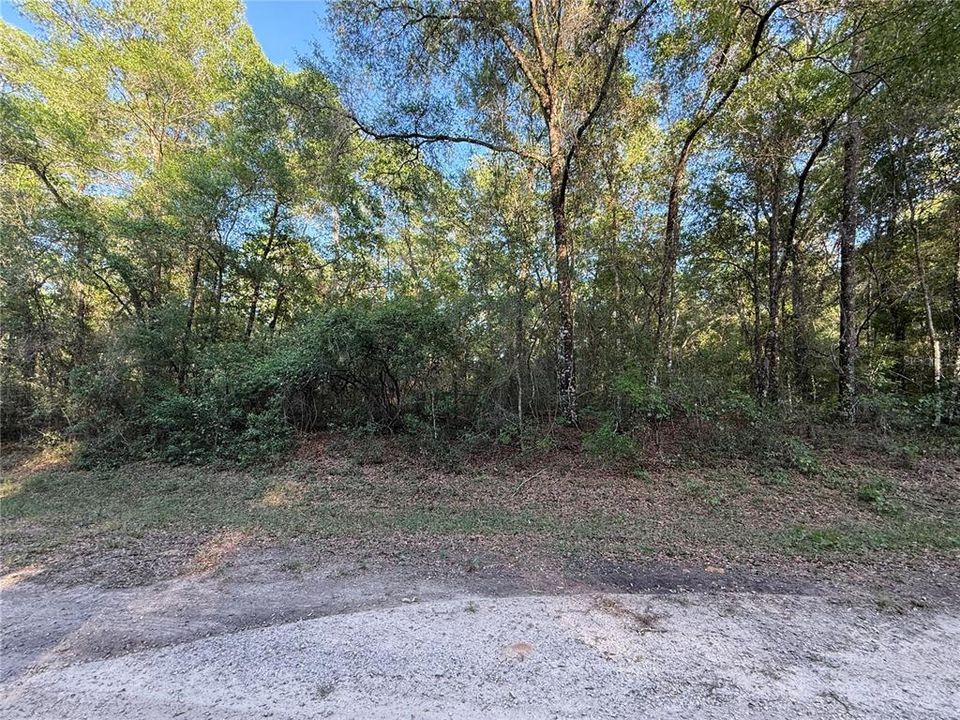 En Venta: $10,899 (0.23 acres)