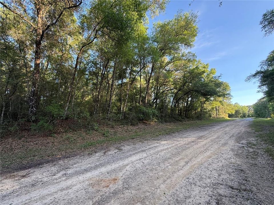 En Venta: $10,899 (0.23 acres)
