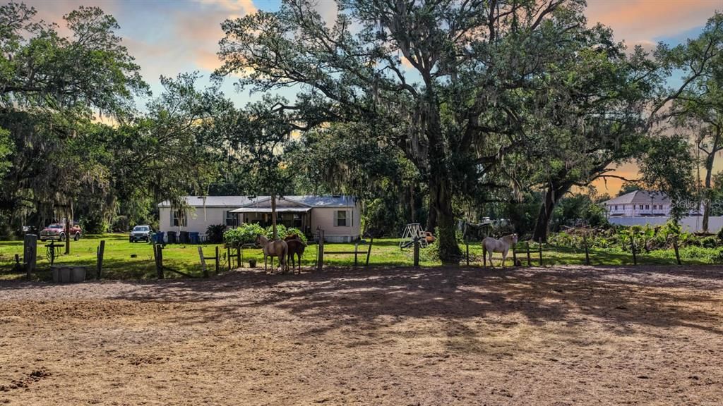待售: $850,000 (3.14 acres)