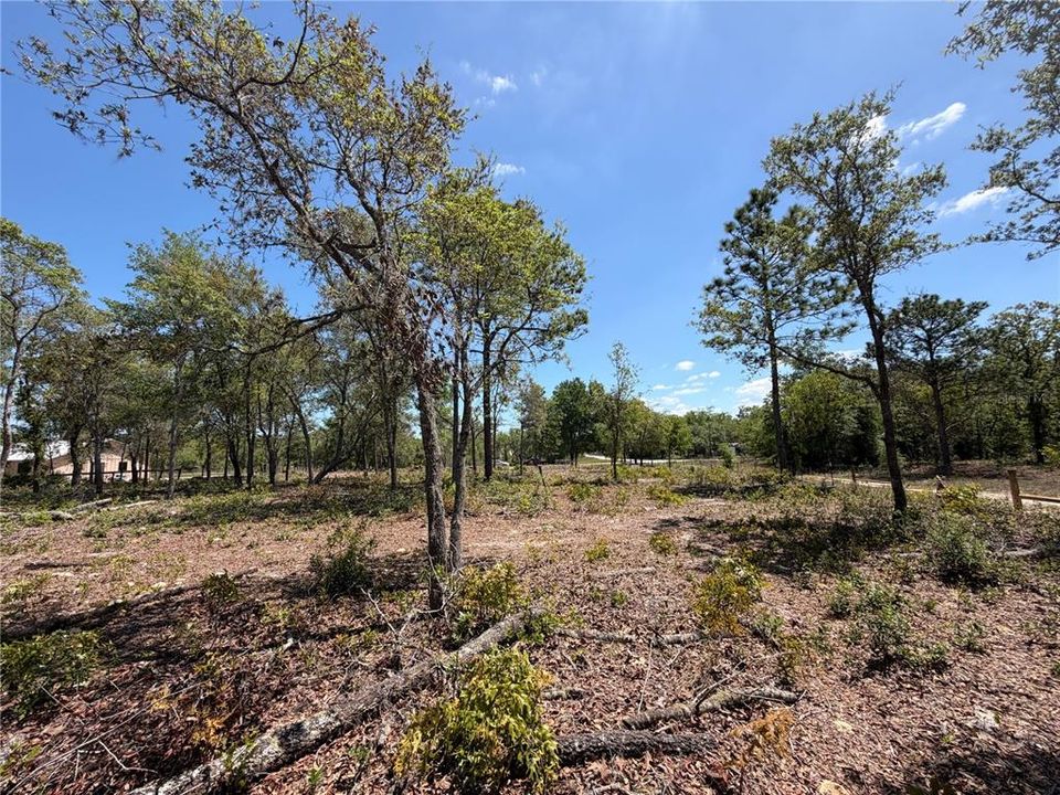 En Venta: $80,000 (1.18 acres)