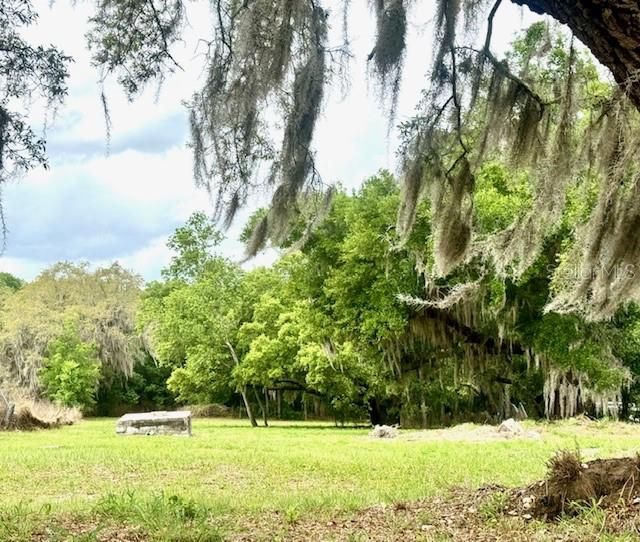Vendido Recientemente: $79,950 (1.13 acres)