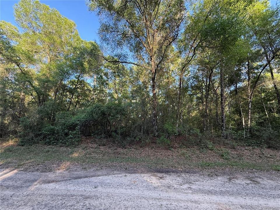 For Sale: $10,899 (0.23 acres)
