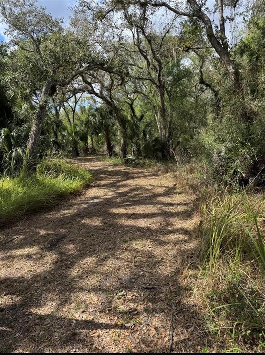 For Sale: $442,500 (5.30 acres)