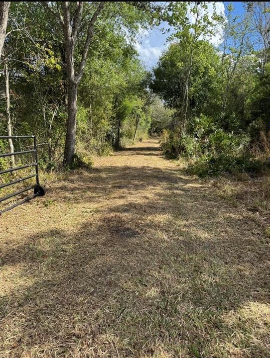 For Sale: $442,500 (5.30 acres)
