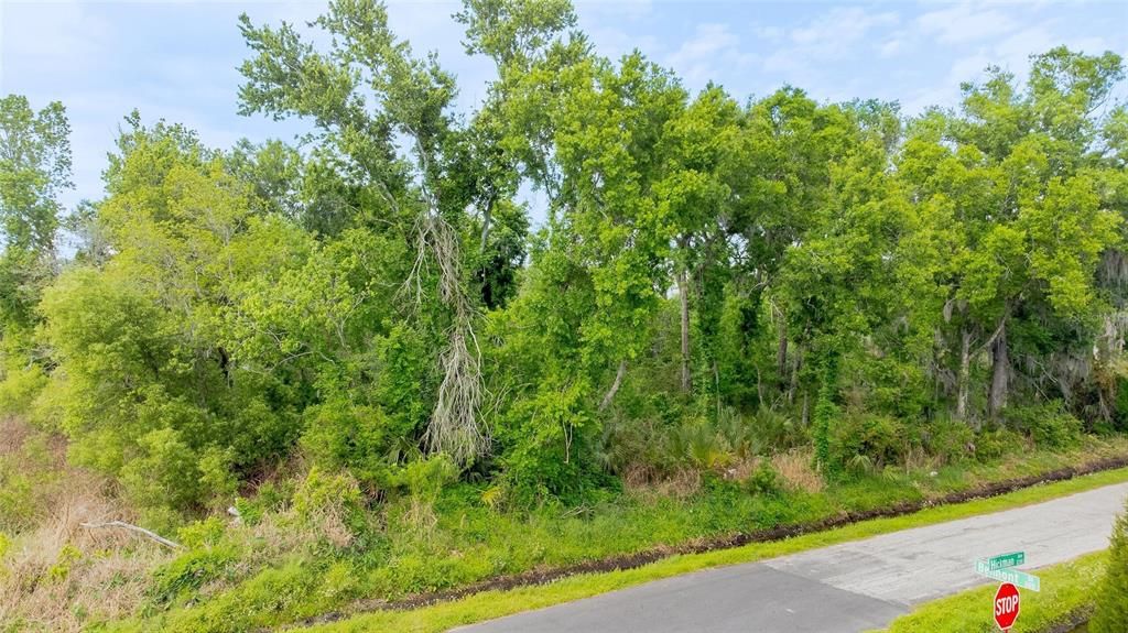 待售: $45,000 (0.79 acres)