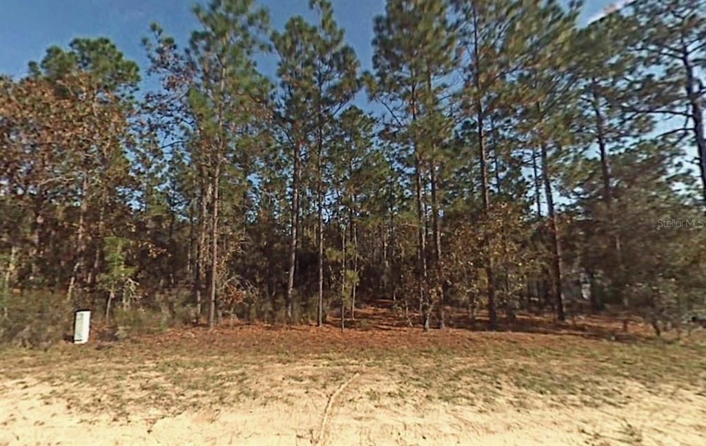 Activo con contrato: $34,999 (1.31 acres)