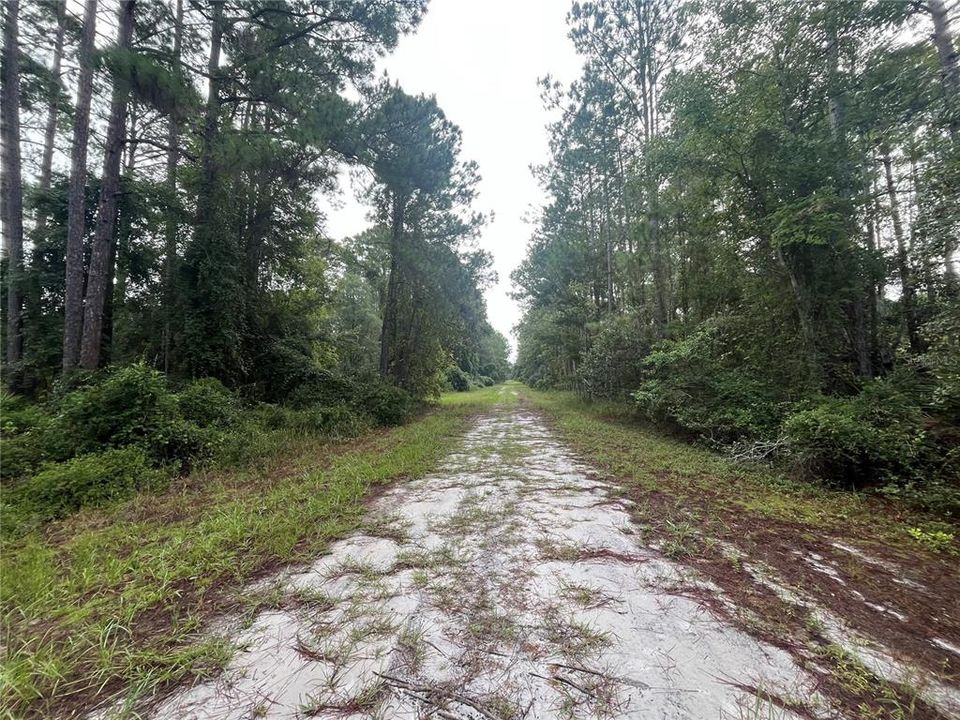 For Sale: $13,300 (0.23 acres)