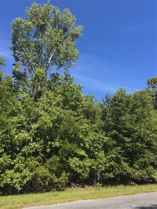 На продажу: $194,000 (1.91 acres)