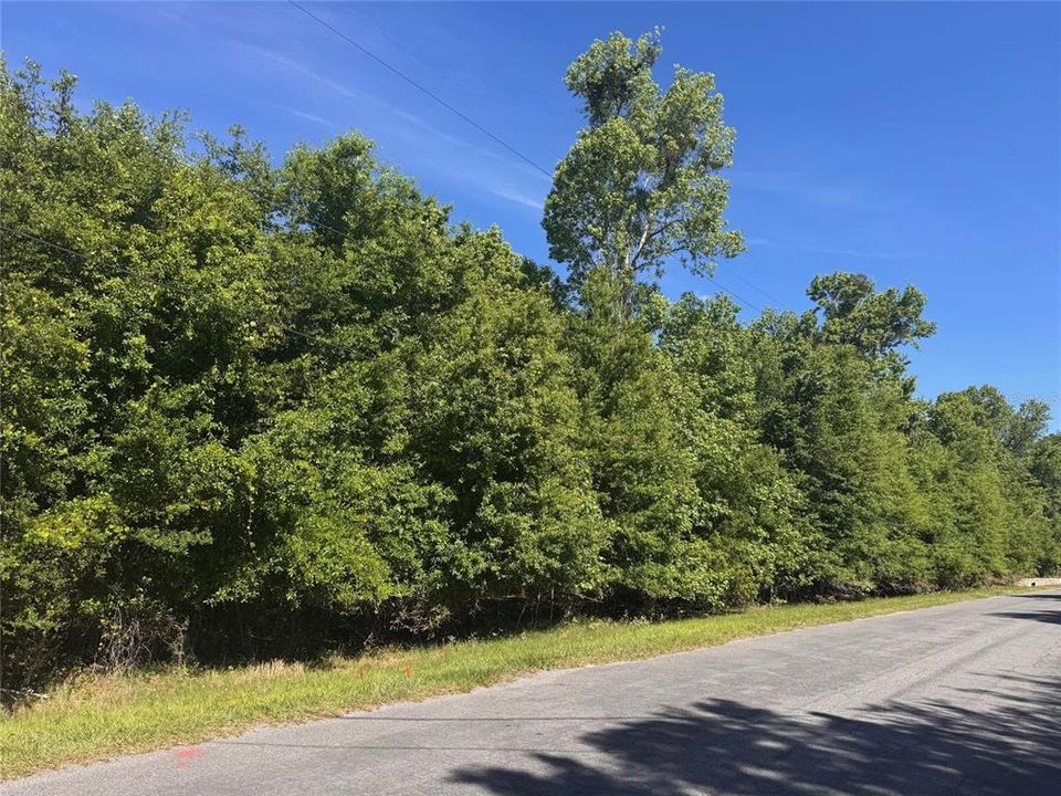 На продажу: $194,000 (1.91 acres)