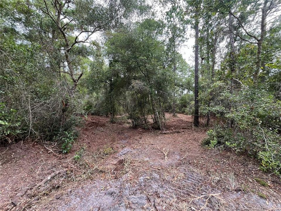 En Venta: $14,300 (0.23 acres)