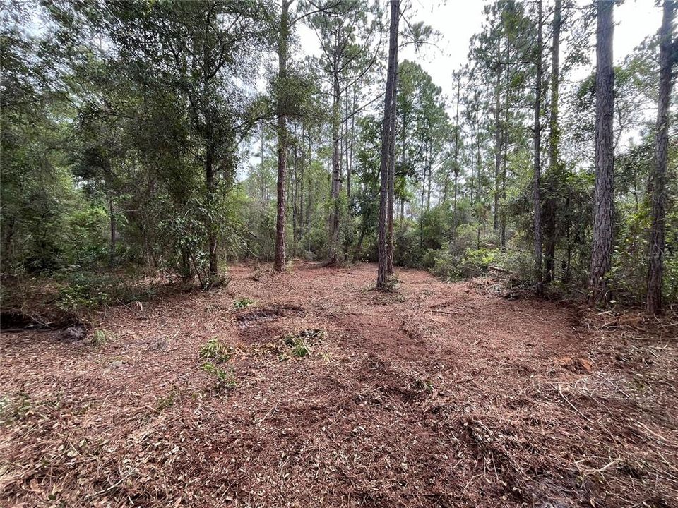 En Venta: $14,300 (0.23 acres)