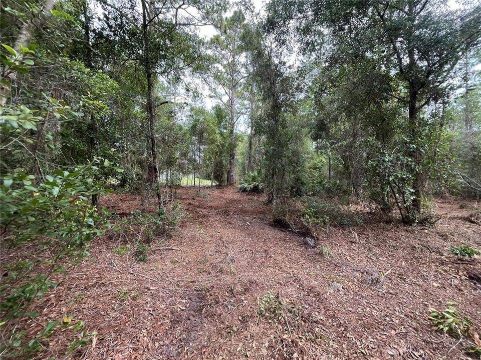 En Venta: $14,300 (0.23 acres)