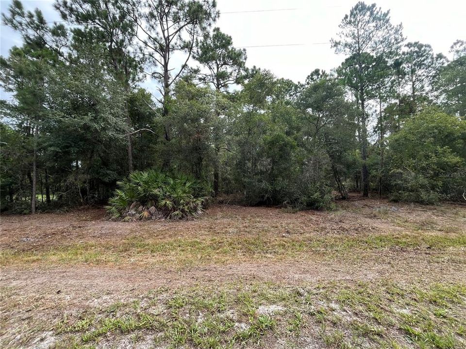 En Venta: $14,300 (0.23 acres)
