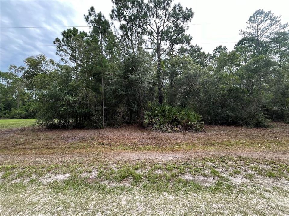 En Venta: $14,300 (0.23 acres)