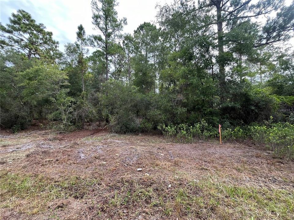 En Venta: $14,300 (0.23 acres)