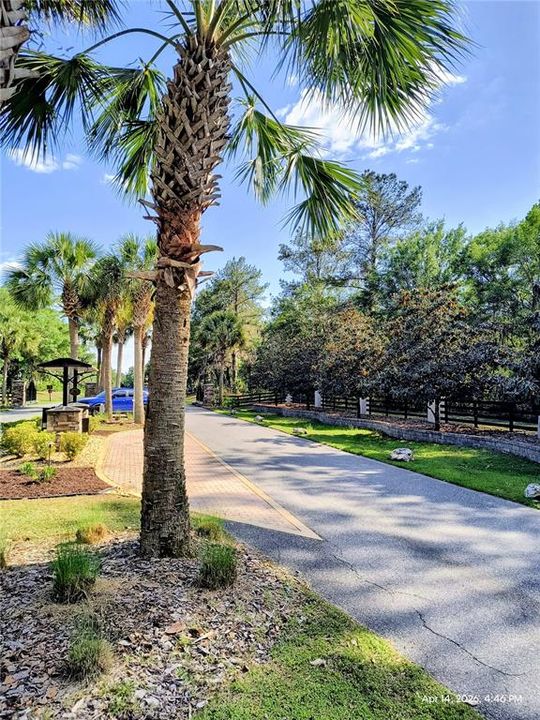 For Sale: $185,000 (3.47 acres)