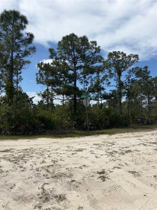 На продажу: $22,000 (0.16 acres)