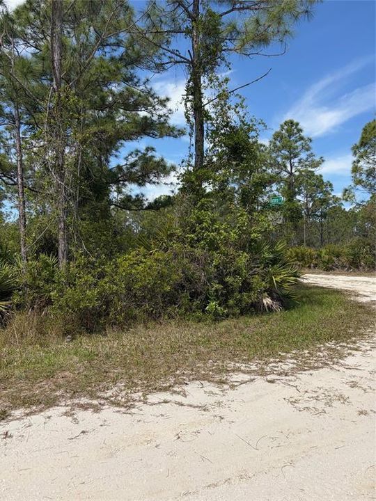 На продажу: $22,000 (0.16 acres)