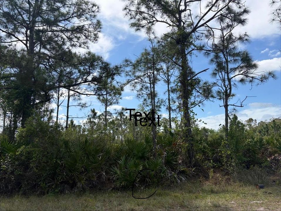 На продажу: $22,000 (0.16 acres)