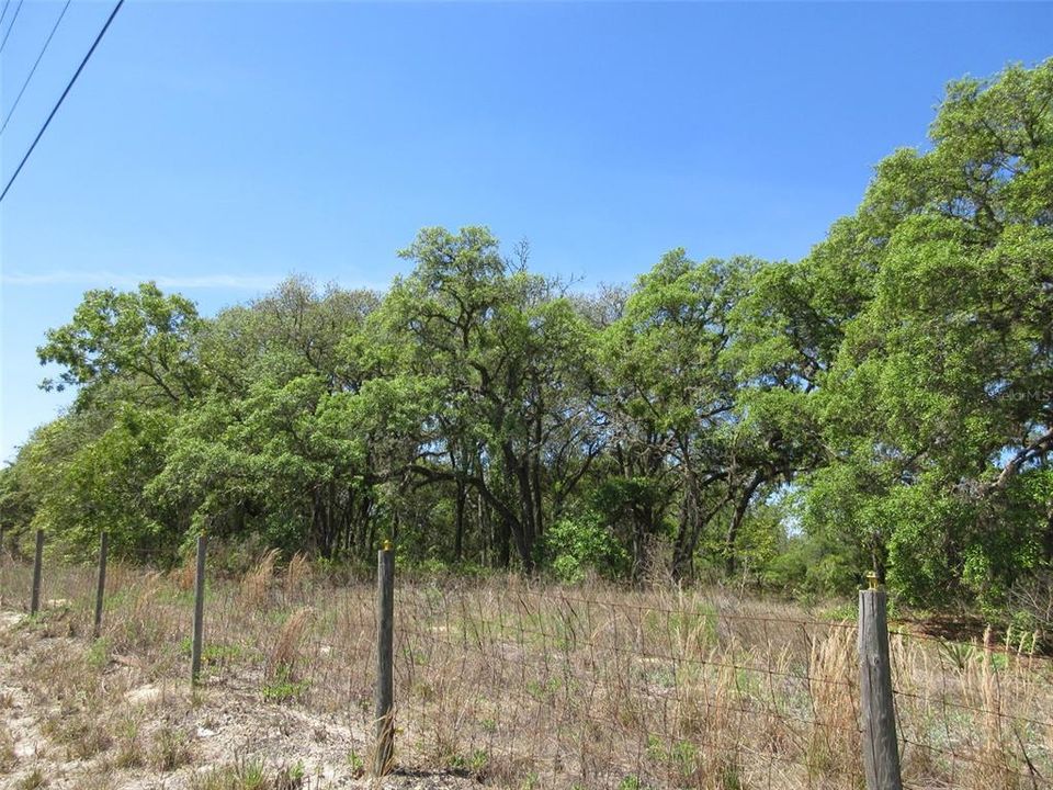 For Sale: $300,000 (9.55 acres)