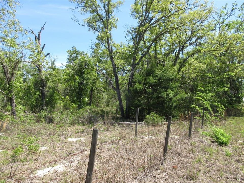 For Sale: $300,000 (9.55 acres)