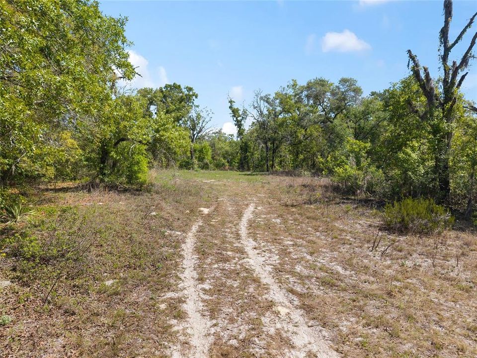 For Sale: $300,000 (9.55 acres)