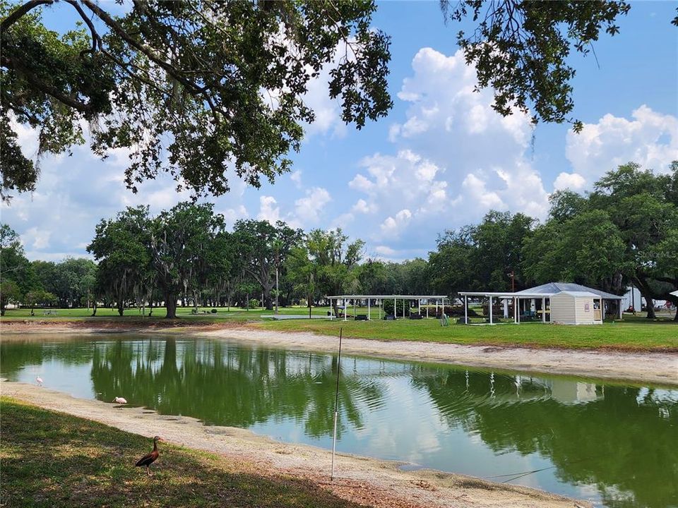 En Renta: $1,350 (2 camas, 2 baños, 864 Pies cuadrados)