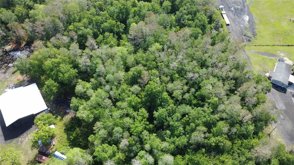 На продажу: $175,000 (4.81 acres)