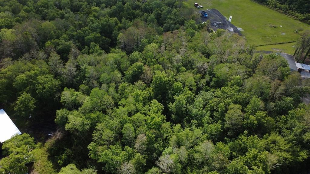 На продажу: $175,000 (4.81 acres)