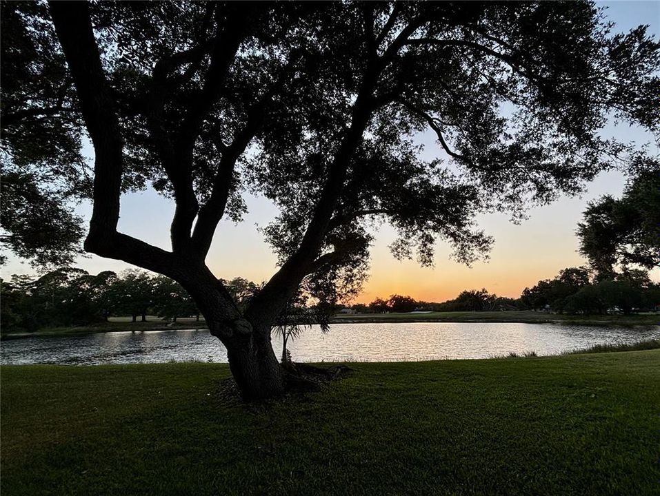 Active With Contract: $899,900 (4 beds, 3 baths, 3304 Square Feet)