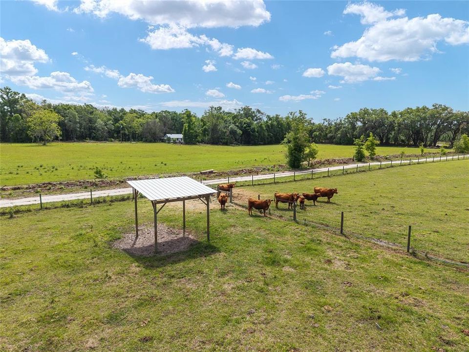 For Sale: $1,199,900 (5 beds, 3 baths, 2590 Square Feet)