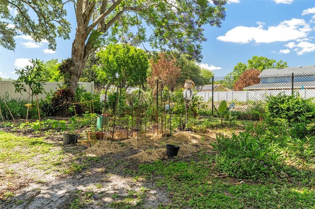 Active With Contract: $355,000 (3 beds, 2 baths, 1534 Square Feet)