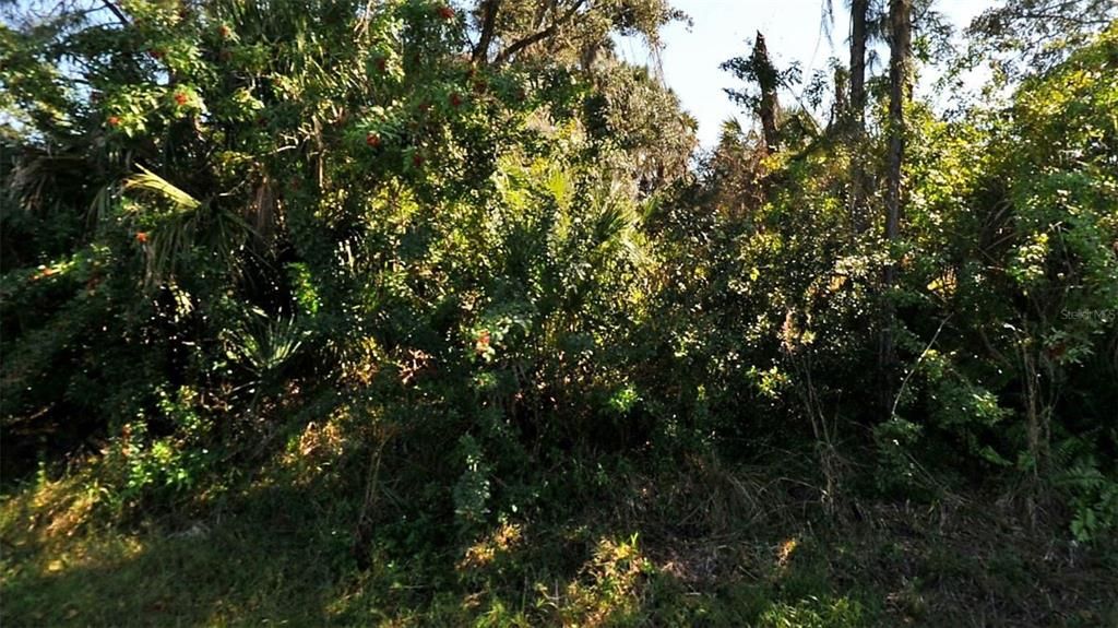 待售: $35,000 (0.32 acres)