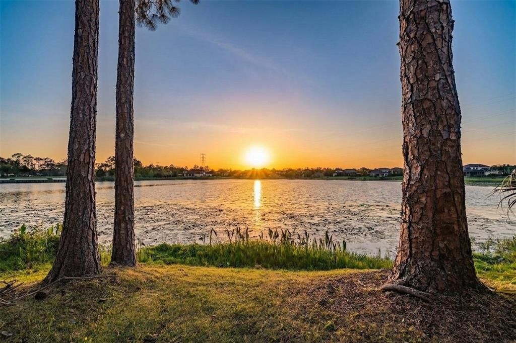 For Sale: $2,149,900 (5 beds, 3 baths, 4287 Square Feet)