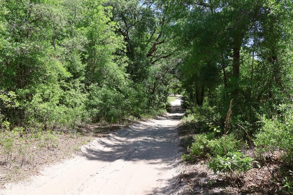 На продажу: $29,000 (1.25 acres)