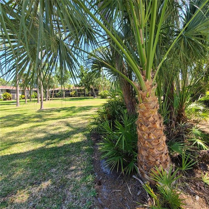 Active With Contract: $1,650 (2 beds, 1 baths, 865 Square Feet)