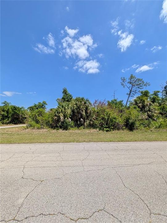 For Sale: $50,000 (0.37 acres)