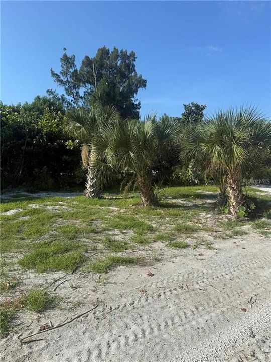 For Sale: $77,000 (0.17 acres)