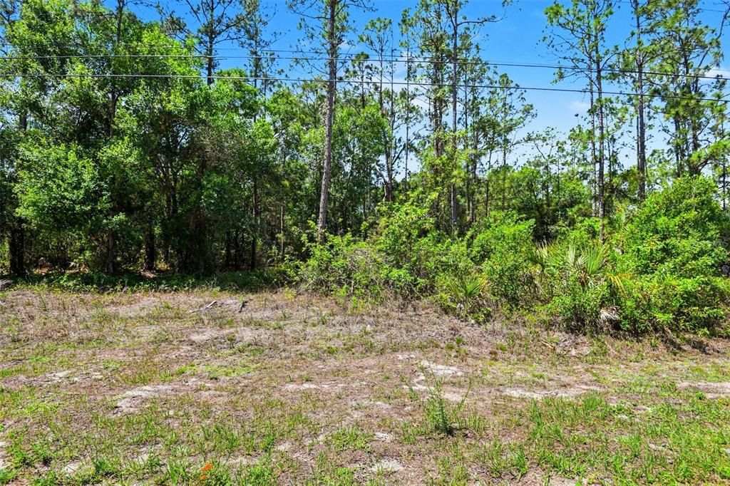 待售: $25,000 (0.50 acres)