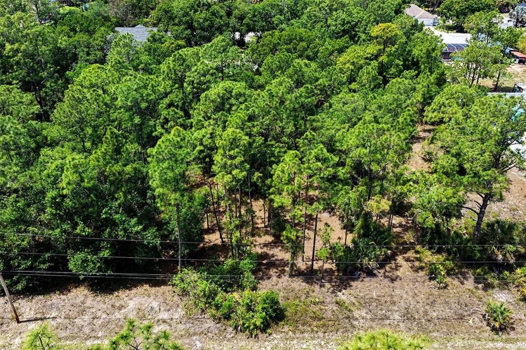 待售: $25,000 (0.50 acres)