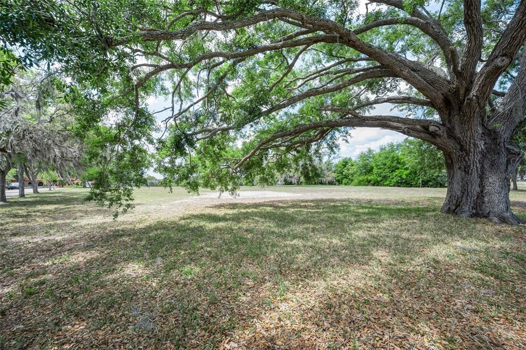 En Venta: $799,000 (1.46 acres)
