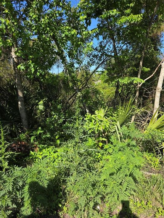 En Venta: $39,900 (0.24 acres)