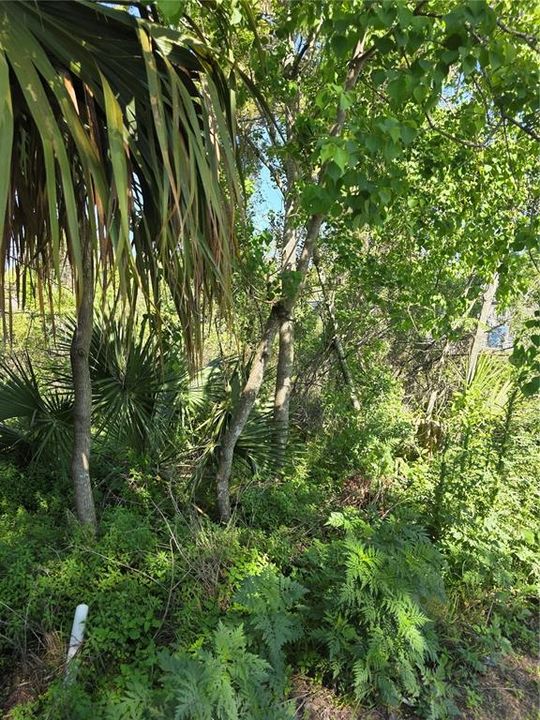 En Venta: $39,900 (0.24 acres)