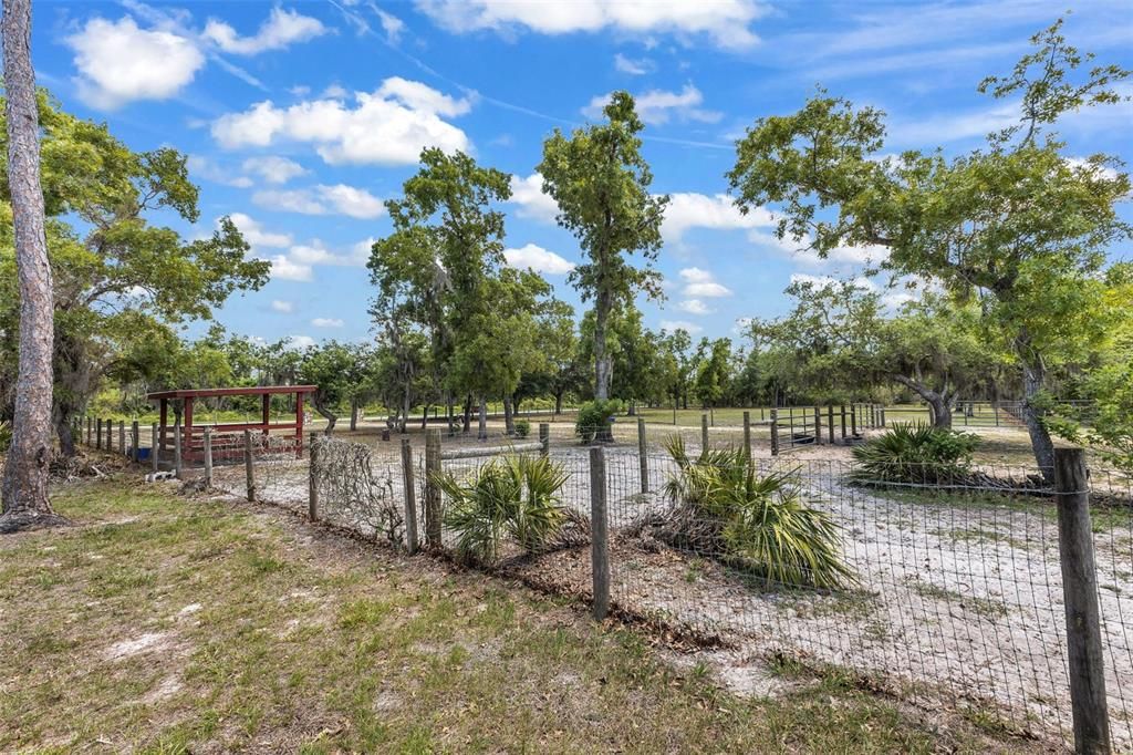 Active With Contract: $499,000 (3 beds, 2 baths, 1484 Square Feet)