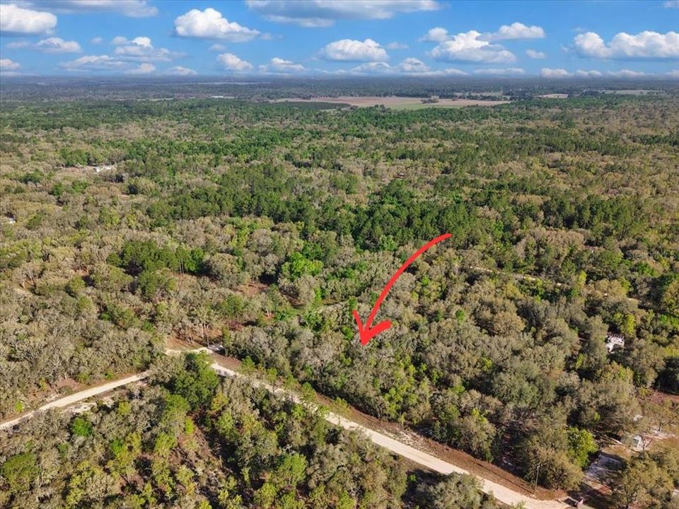 На продажу: $40,000 (1.25 acres)